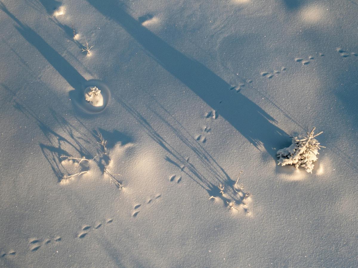 A csend a nagy durranás